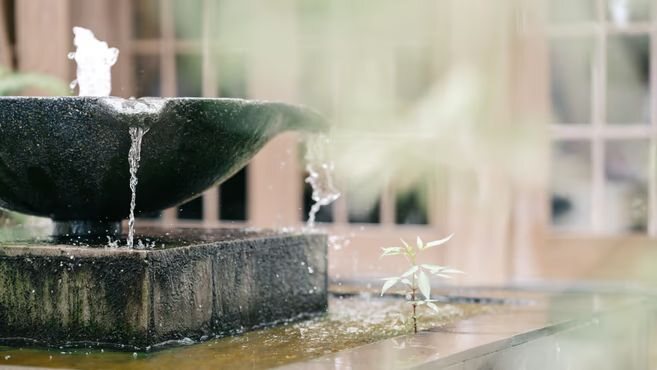 中庭の噴水